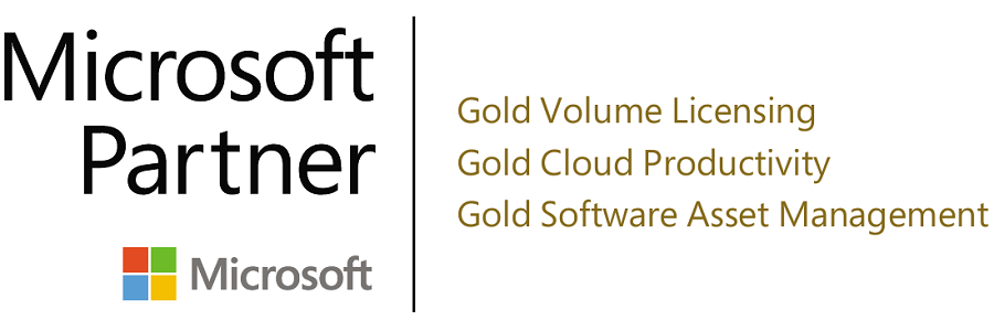 Gold Microsoft Partner Competencies Logo