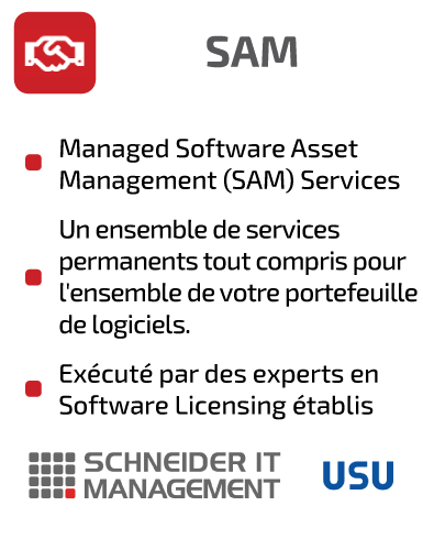 SCHNEIDER IT MANAGEMENT Gestion des actifs logiciels : Managed SAM Services, ensemble de services continus tout compris pour votre portefeuille de logiciels, géré par des experts reconnus en matière de licences logicielles.
