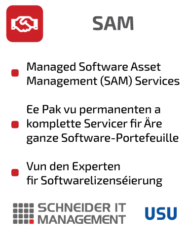 SCHNEIDER IT MANAGEMENT Software Asset Management: Managed SAM Services, All-inclusive ongoing service package for your software portfolio, Run by established Software Licensing Experts