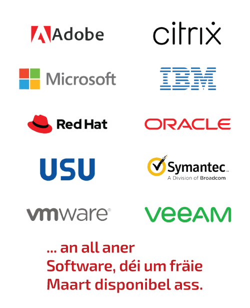 Top software vendors L mobile