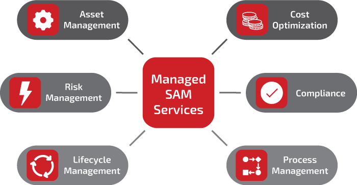 SCHNEIDER IT MANAGEMENT 2023-01-19 Graphics SAM Website Overview