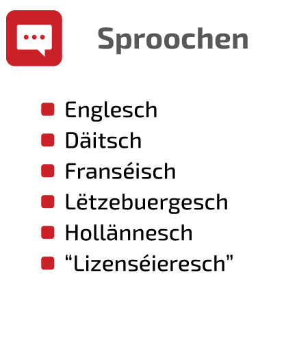 SCHNEIDER IT MANAGEMENT Languages: English, German, French, Luxembourgish, Dutch, "Licensing"