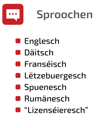 SCHNEIDER IT MANAGEMENT Sproochen, Englesch, Däitsch, Franséisch, Letzebuergesch, Spuenesch, Rumänesch, Lizenséieresch