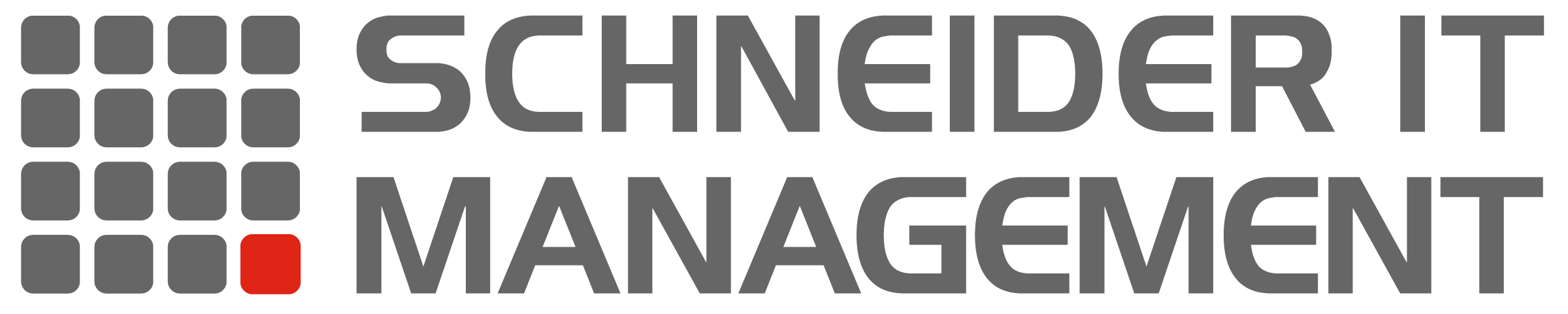 SCHNEIDER IT MANAGEMENT Logo