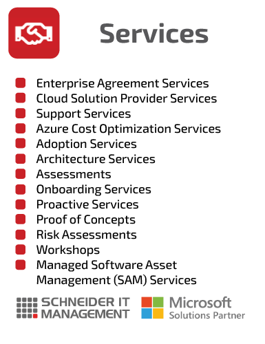 SCHNEIDER IT MANAGEMENT Microsoft Services