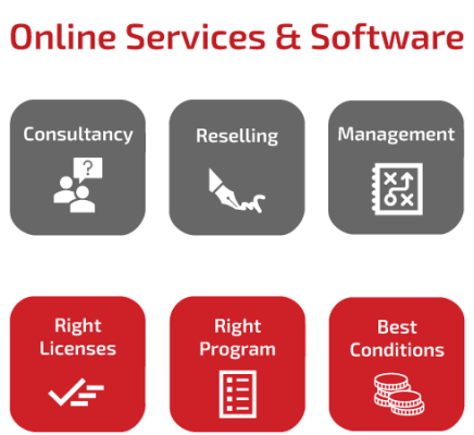 SCHNEIDER IT MANAGEMENT How we help you: For Online Services and Software we provide: Consultancy, Reselling and Managent. Get the right licenses in the right program at the best conditions.