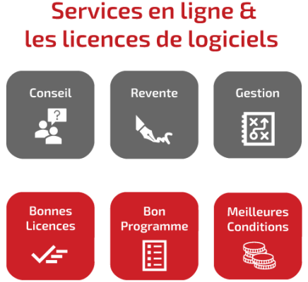 SCHNEIDER IT MANAGEMENT Comment nous vous aidons : Pour les services en ligne et les logiciels, nous fournissons : Conseil, revente et gestion. Obtenez les bonnes licences dans le bon programme aux meilleures conditions.