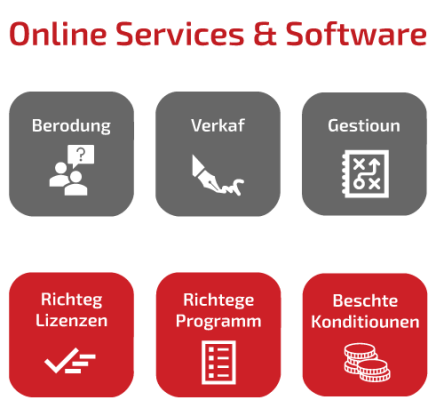 SCHNEIDER IT MANAGEMENT How we help you: For Online Services and Software we provide: Consultancy, Reselling and Managent. Get the right licenses in the right program at the best conditions.